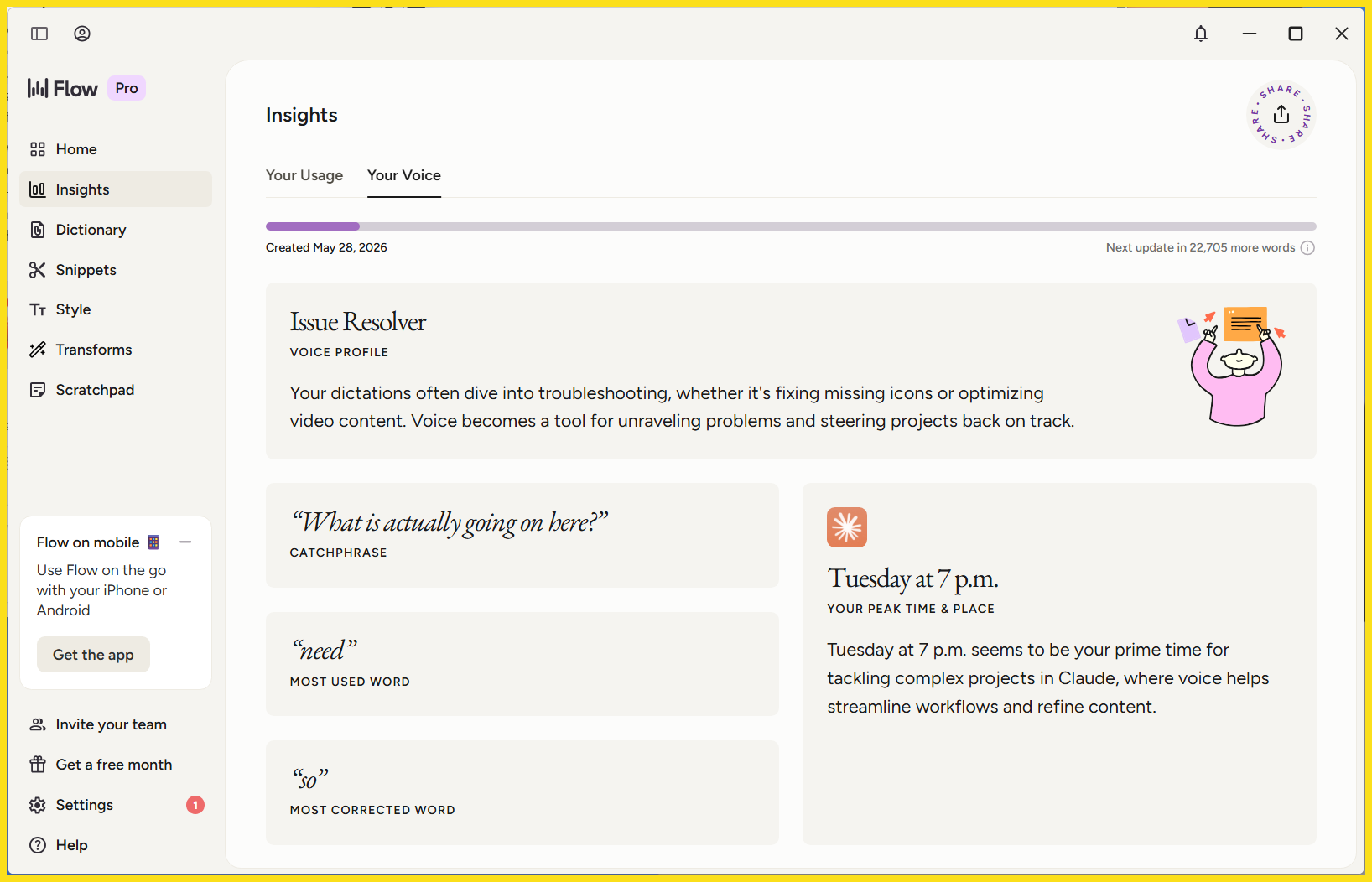 Wispr Flow Your Voice profile showing speech insights and personalized writing patterns